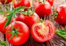 La tomate, le légume préféré des Français Les bienfaits de la tomate