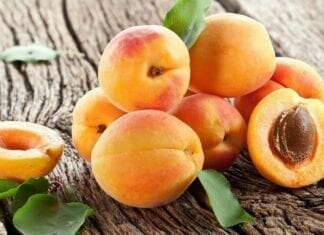 abricot bienfaits