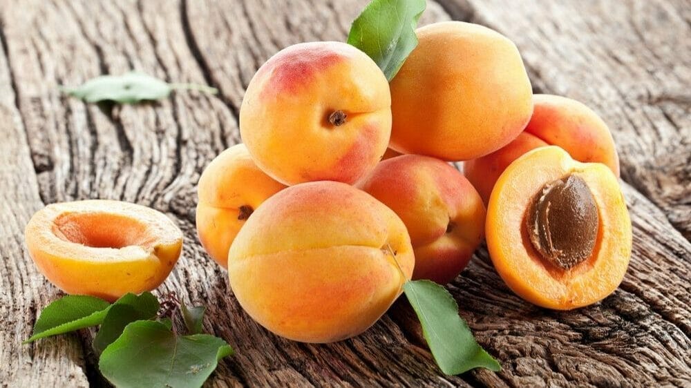 abricot bienfaits