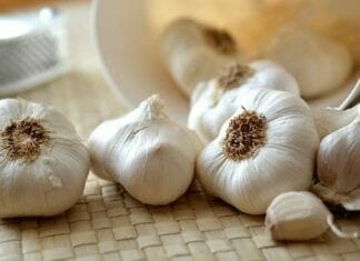 bienfaits ail immunité