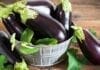 bienfaits de l'aubergine