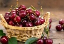 cerise fruits du printemps