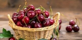 cerise fruits du printemps