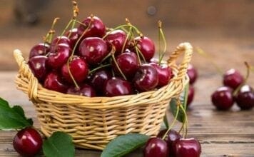 cerise fruits du printemps