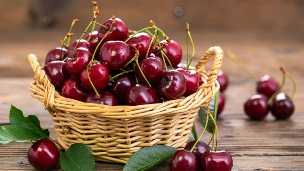 cerise fruits du printemps, liste des fruits rouges