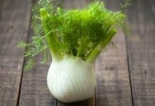 6 bienfaits du fenouil à redécouvrir d’urgence bienfaits du fenouil, Légumes d'automne