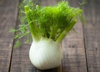 bienfaits du fenouil, Légumes d'automne