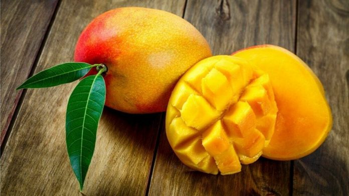 Mangue liste fruits tropicaux