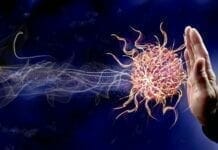 comment renforcer mes défenses immunitaires comment renforcer ses défenses immunitaires