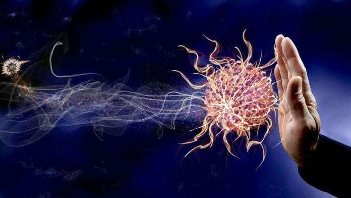 quel-probiotique-prendre-1000 comment renforcer mes défenses immunitaires comment renforcer ses défenses immunitaires