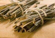 Les vertus anti douleur de l’écorce de saule blanc saule blanc