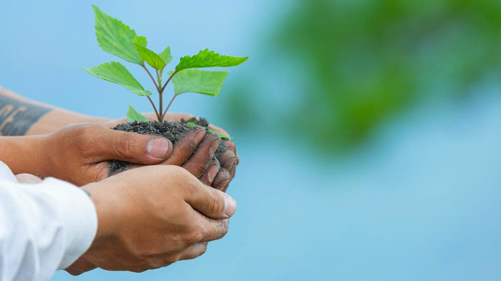 10 petits pas pour agir