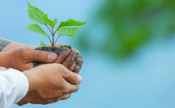 Comment réduire mon empreinte carbone de moitié ? 10 petits pas pour agir