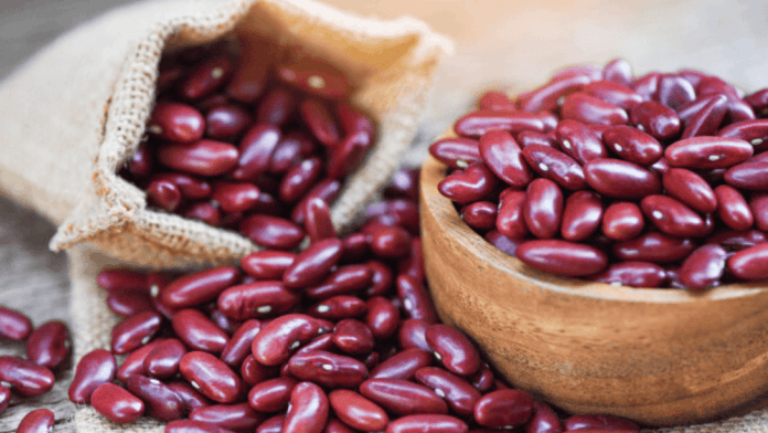 haricot azuki : liste des légumes secs