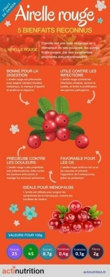 infographie airelles rouges