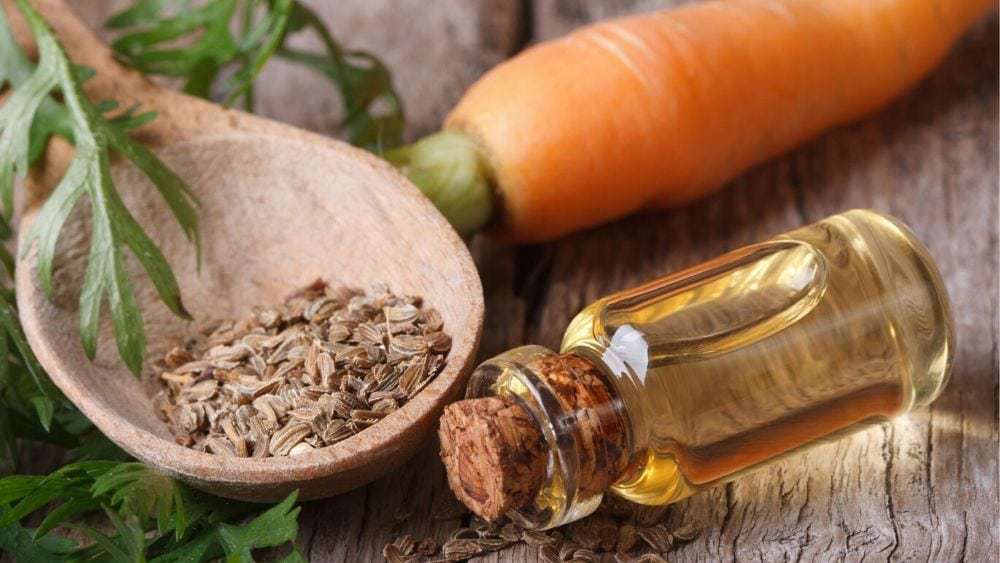 auto bronzant naturel huile de carotte