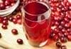 bienfaits de la canneberge (cranberry)