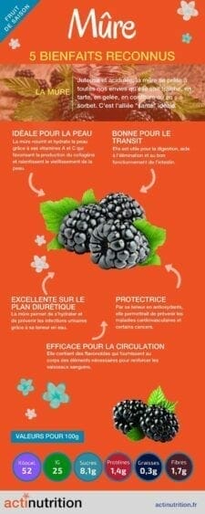 Infographie bienfaits de la mûre