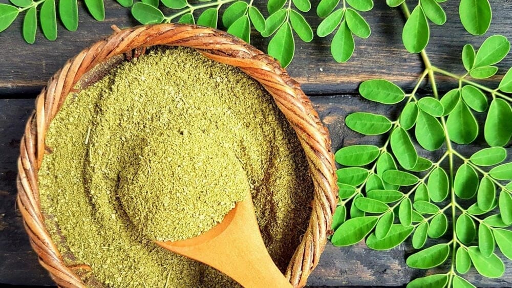 bienfaits du moringa
