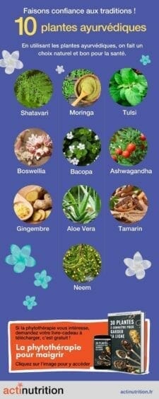 bienfait plantes ayurvediques