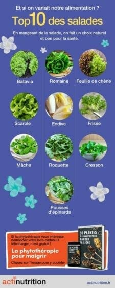 variétés de salades infographie