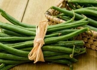 bienfaits du haricot vert
