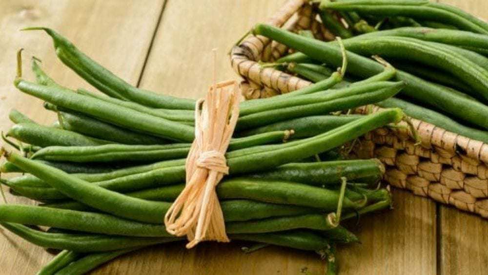 Haricot vert 1000 bienfaits du haricot vert