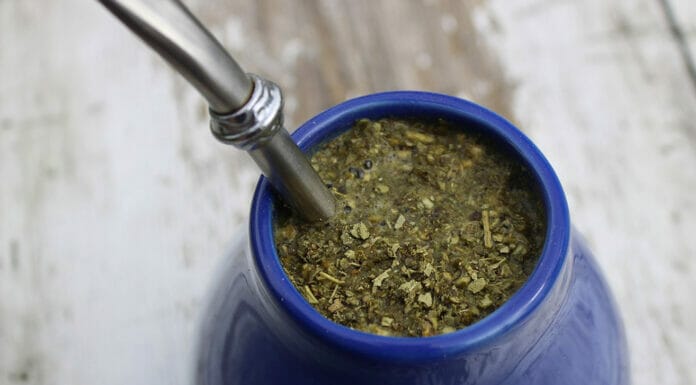 bienfaits du maté