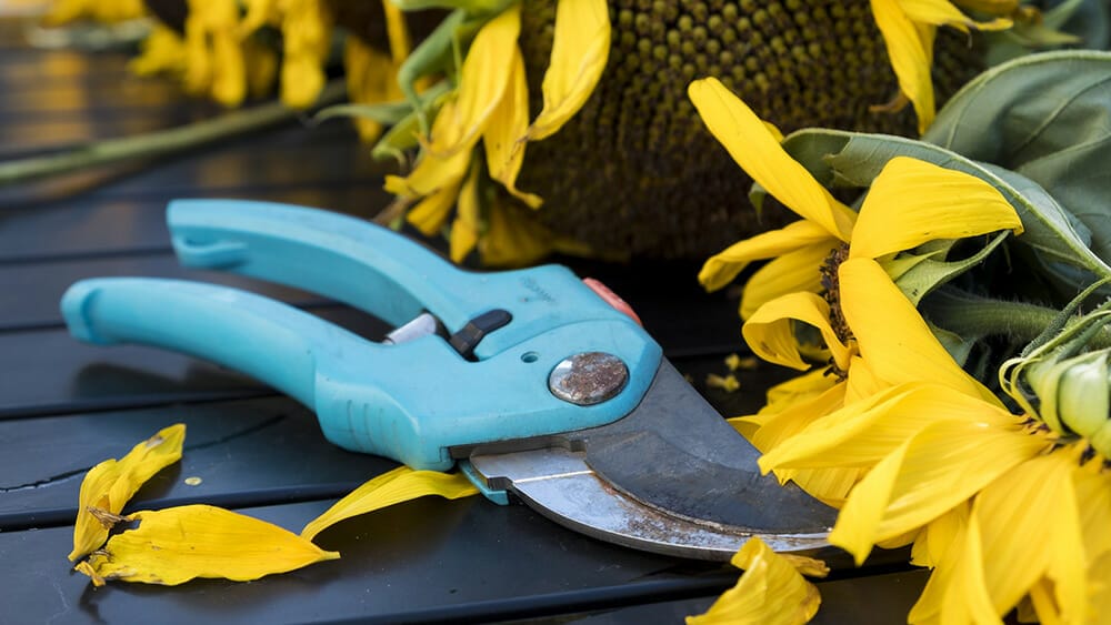 jardinage-1000 jardiner pour maigrir