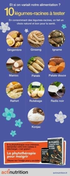 10 légumes racines à consommer plus souvent