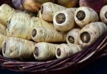 panais légumes racines