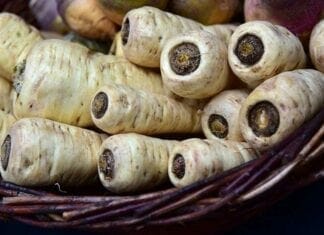 panais légumes racines