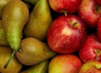 pommes et poires, fruits et légumes d'automne