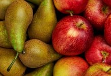pommes et poires, fruits et légumes d'automne