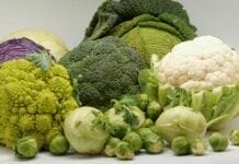 variétés de choux bienfaits des choux