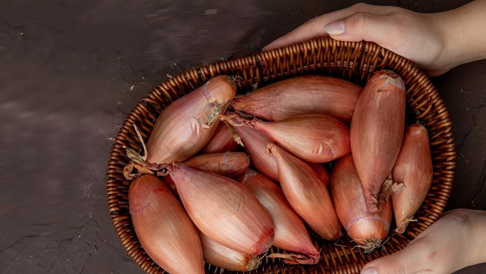 bienfaits de l'échalote