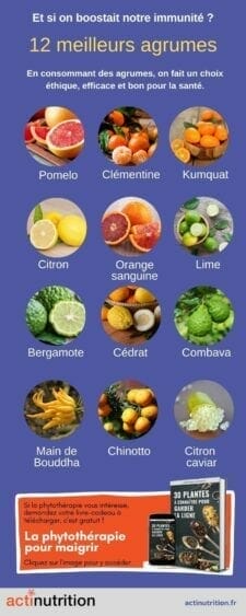 Liste des agrumes