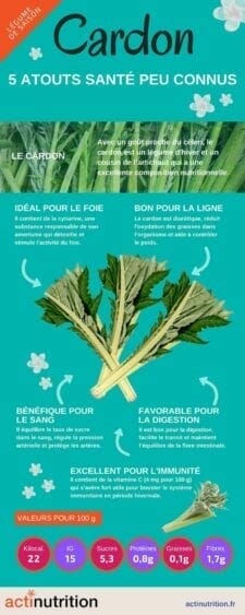 bienfaits du cardon