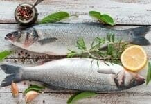 La liste des 10 poissons blancs à consommer souvent liste des poissons blancs