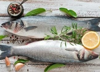 liste des poissons blancs