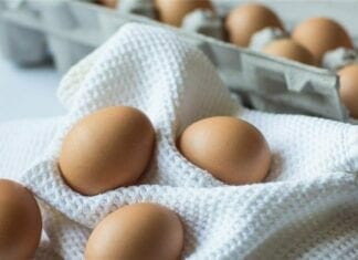 Régime oeuf
