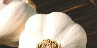 aliments bons pour l'immunité