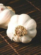 aliments bons pour l'immunité