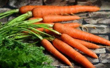 bienfaits de la carotte