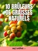 bruleurs-de-graisse-900