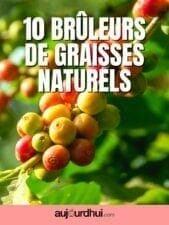 10 plantes brûle-graisses