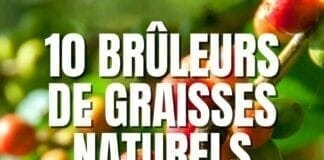 10 plantes brûle-graisses