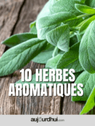 herbes-aromatiques