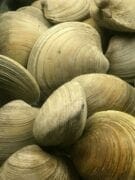 liste-des-fruits-de-mer-900c