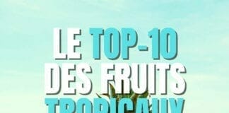liste des fruits tropicaux